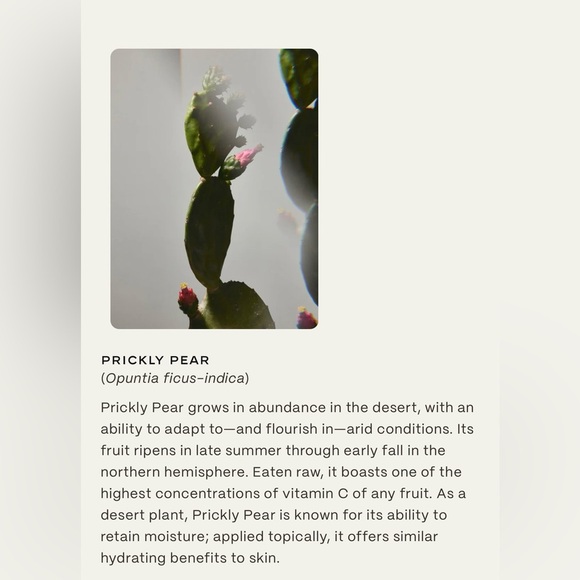 TwentyNine Palms Mesa Mystic Facial Exfoliating Solution - Picture 8 of 12